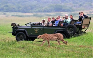 safari game reserves near durban